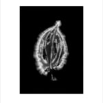 Marie-Jeanne Musiol, Corps de lumière no 401 (Feuille) / Bodies of Light no. 401 (Leaf), 2018