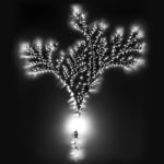 Marie-Jeanne Musiol, Miroir du cosmos (vidéo), 2006