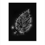 Marie-Jeanne Musiol, Corps de lumière no 401 (Feuille) / Bodies of Light no. 401 (Leaf), 2018