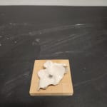 Thumbnail of additional image