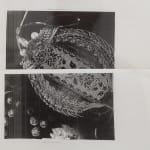 August Klintberg, Opening Tool