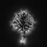 Marie-Jeanne Musiol, Miroir du cosmos (vidéo), 2006