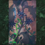 Aaron McIntosh, Entanglements: Flowers at the Border / Keeping Safe, 2022