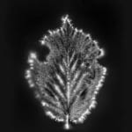 Marie-Jeanne Musiol, Miroir du cosmos (vidéo), 2006