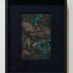 Aaron McIntosh, Entanglements: Flowers at the Border / Keeping Safe, 2022