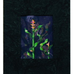 Aaron McIntosh, Entanglements: Flowers at the Border / Keeping Safe, 2022
