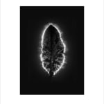 Marie-Jeanne Musiol, Miroir du cosmos (vidéo), 2006