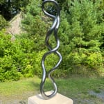 Roberto Pellegrinuzzi, Trajectoire ( lièvre 1)