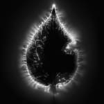 Marie-Jeanne Musiol, Miroir du cosmos (vidéo), 2006