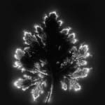 Marie-Jeanne Musiol, Miroir du cosmos (vidéo), 2006