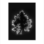 Marie-Jeanne Musiol, Miroir du cosmos (vidéo), 2006