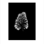 Marie-Jeanne Musiol, Miroir du cosmos (vidéo), 2006