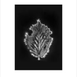 Marie-Jeanne Musiol, Miroir du cosmos (vidéo), 2006
