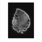 Marie-Jeanne Musiol, Miroir du cosmos (vidéo), 2006
