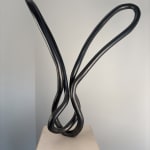 Roberto Pellegrinuzzi, Trajectoire ( lièvre 1)