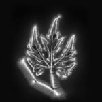Marie-Jeanne Musiol, Miroir du cosmos (vidéo), 2006
