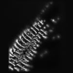 Marie-Jeanne Musiol, Miroir du cosmos (vidéo), 2006