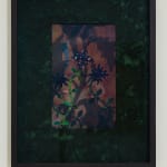 Aaron McIntosh, Entanglements: Flowers at the Border / Keeping Safe, 2022