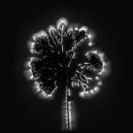 Marie-Jeanne Musiol, Miroir du cosmos (vidéo), 2006