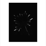 Marie-Jeanne Musiol, Miroir du cosmos (vidéo), 2006