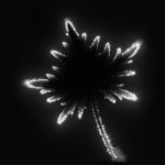 Marie-Jeanne Musiol, Miroir du cosmos (vidéo), 2006