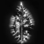 Marie-Jeanne Musiol, Miroir du cosmos (vidéo), 2006