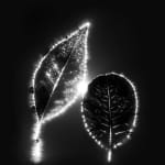 Marie-Jeanne Musiol, Miroir du cosmos (vidéo), 2006