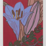 Hubert Schmalix, Lily, 2013