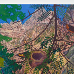 Aaron Morse, Wilderness, 2025