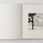 John Joseph Mitchell, A Rooftop with Melting Snow, 2025