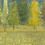 Sky Glabush, Wildflower Field, 2025