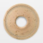 Carl Cheng, Anthropocene Plate, 2018
