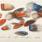 sarah biffin feathers