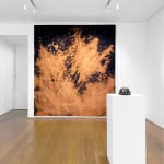 Paul Weiner, Bleach, 2021