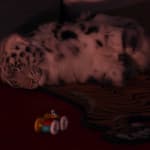 Thumbnail of additional image
