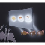 Thumbnail of additional image