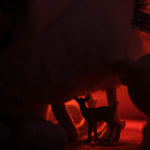 Thumbnail of additional image