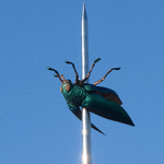 Thumbnail of additional image