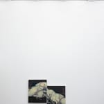 SERKAN SARIER, REM, 2017