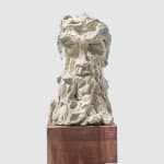 KEVIN FRANCIS GRAY, Young Janus, 2020