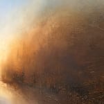 Faryal Ahmad, Venus