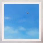 Lilia Mazurkevich, When Buzz Met Bee LIMITED EDITION