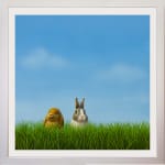 Lilia Mazurkevich, When Buzz Met Bee LIMITED EDITION