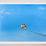 Lilia Mazurkevich, When Buzz Met Bee LIMITED EDITION