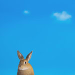 Lilia Mazurkevich, When Buzz Met Bee LIMITED EDITION