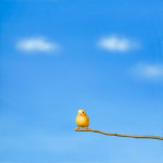 Lilia Mazurkevich, When Buzz Met Bee LIMITED EDITION