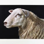 Alexandra Klimas, Trudeke the Cow