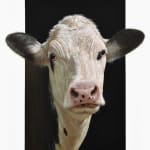 Alexandra Klimas, Trudeke the Cow