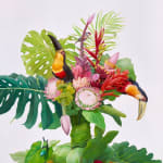 Gabriela Ezcurra, Toucans