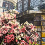 Matteo Massagrande, Veranda, 2015